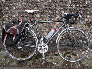 Ridgeback Panorama JP custom Ridgeback Panorama JP custom