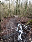 Steyning trail