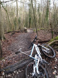 Steyning trail