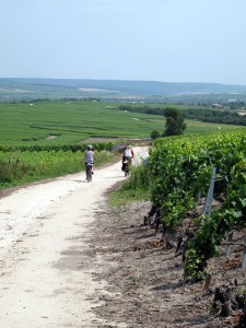 Vineyards near Epernay