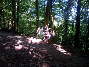 Summer mountain biking