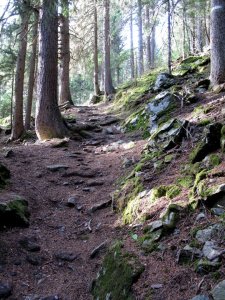 Chamonix single track