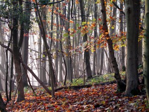 Its not always about the bike