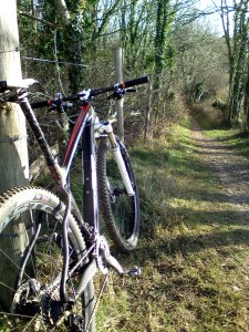 Whyte 29CS on dusty trail
