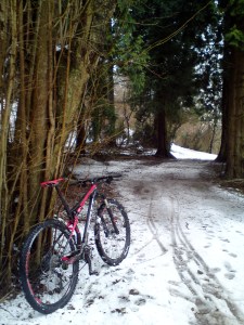 Scott Spark 29er Expert in snow