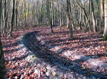 Last berm of the Blue Run