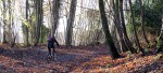 Wiston Bostal - prettiest climb I know