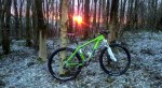 Steyning Woods