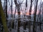 Frost at dawn