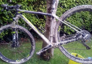 Muddy Scott Scale 920