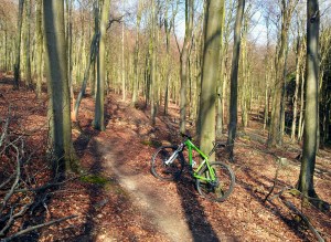 The Denture going up