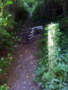 Beleive it or not this post was hidden from view