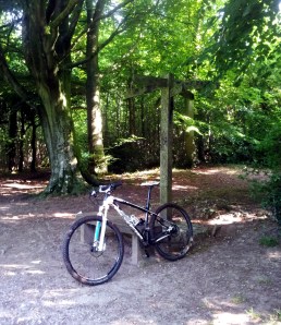 Whyte 29C at Five Ways