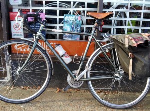 Ridgeback Panorama featuring B17
