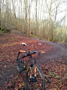 Cross country paradise on the South Downs