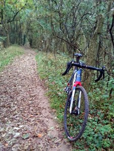 Niner RLT 9 - made for singletrack