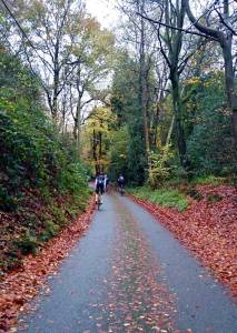 West Sussex lanes are getting more popular but or still quiet