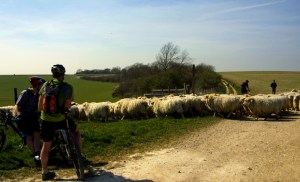 Share, give way, slow down, say hello, say thank you