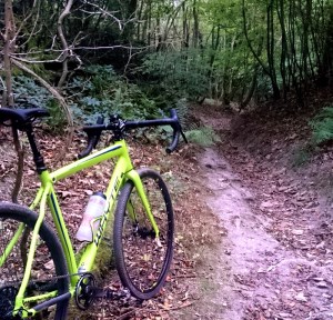 Whyte Gisburn in trail